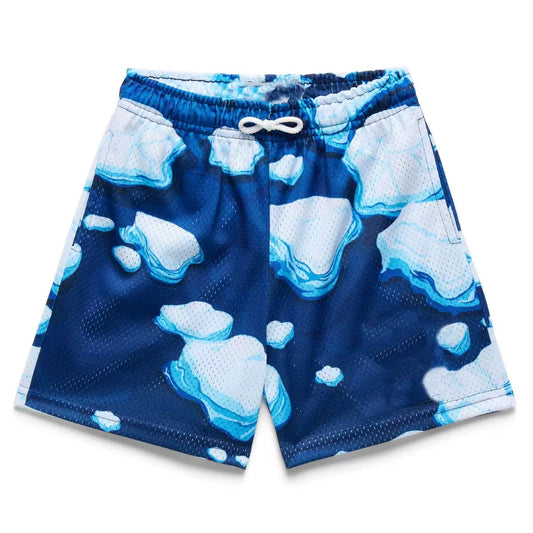 Ice Map Blue Mesh Shorts